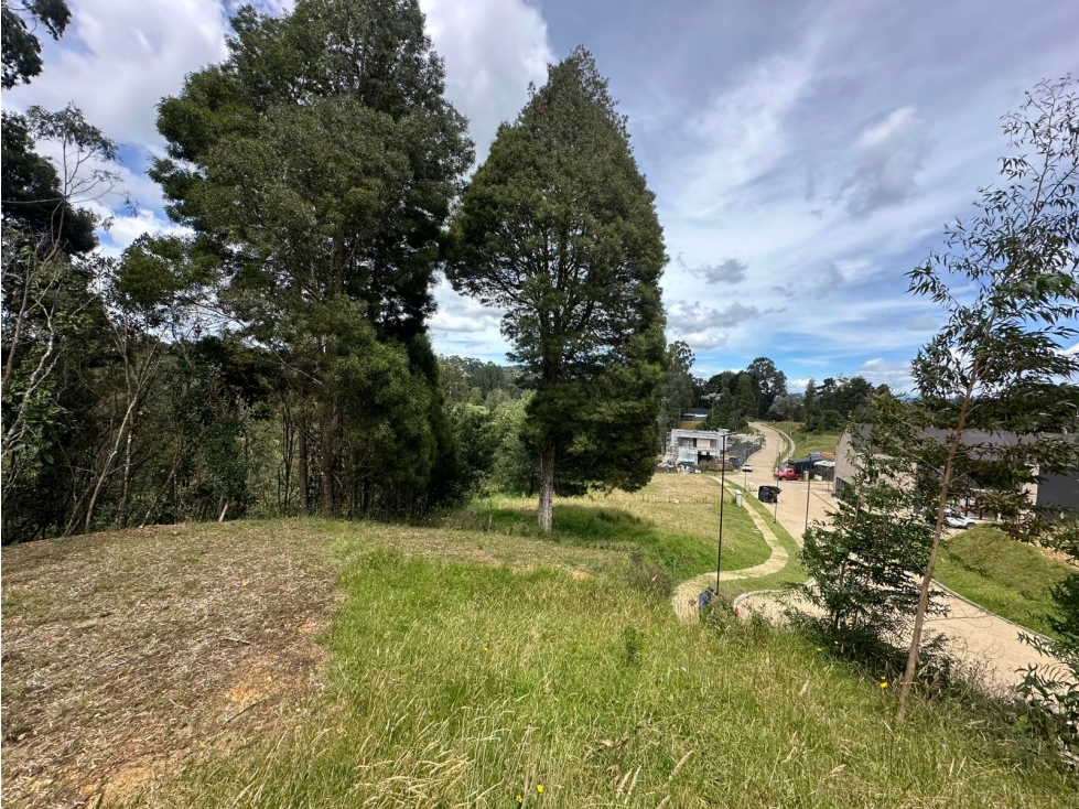 SE VENDE LOTE CAMPESTRE EN EL ALTO DE LAS PALMAS. — foto 4
