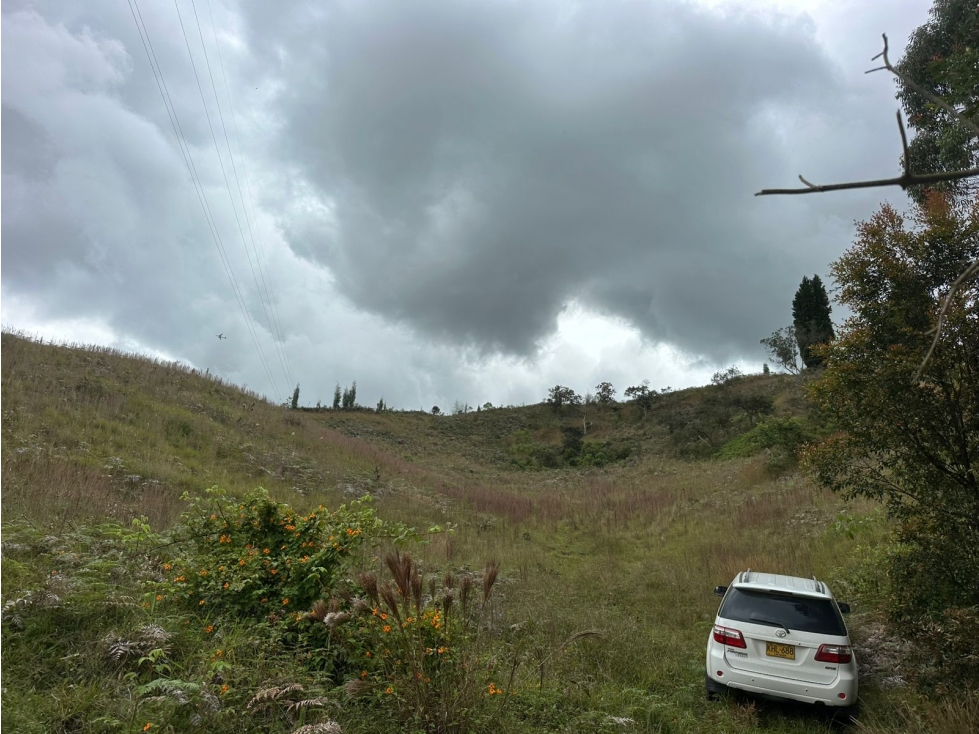 SE VENDE LOTE EN LA VEREDA HOJAS ANCHAS, GUARNE. — foto 5