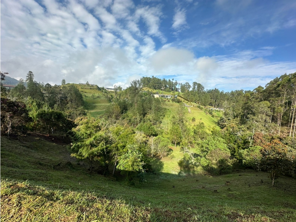 LOTE EN VENTA EN LA VEREDA EL PORTENTO, VÍA LA CEJA — foto 5