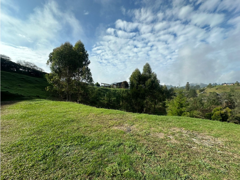 LOTE EN VENTA EN LA VEREDA EL PORTENTO, VÍA LA CEJA — foto 5