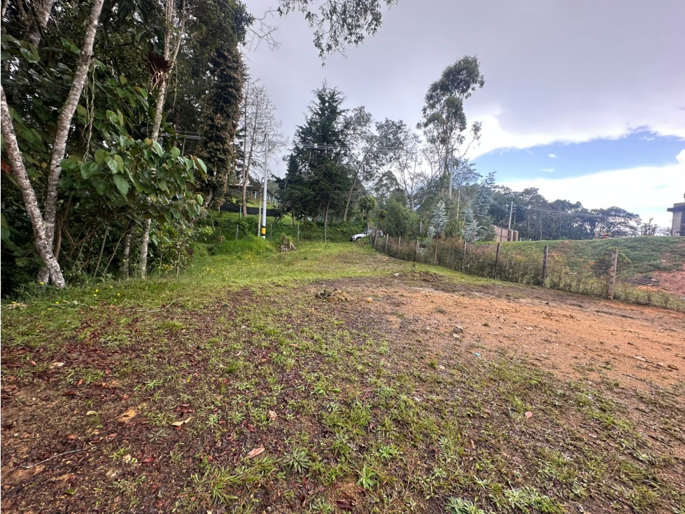 SE VENDE LOTE DE USO MIXTO EN LA VEREDA PANTANILLO, ENVIGADO. — foto 5