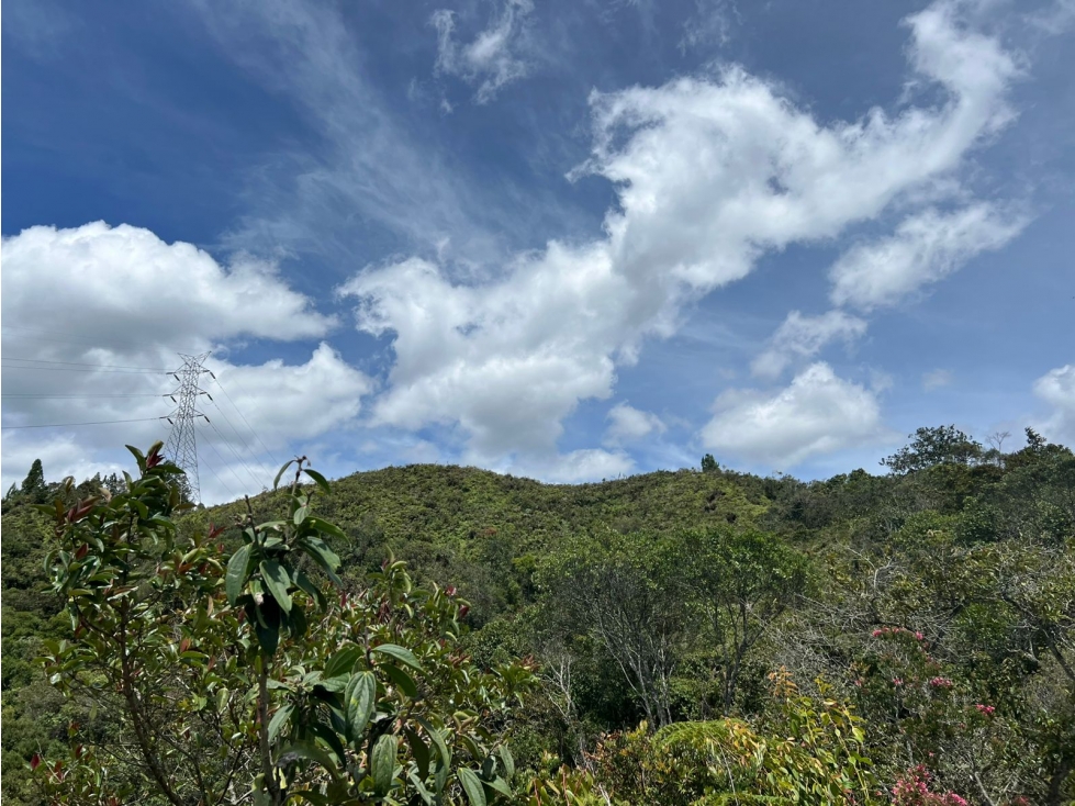 SE VENDE LOTE CON HERMOSA VISTA EN LA VEREDA LOS SALADOS, EL RETIRO — foto 5