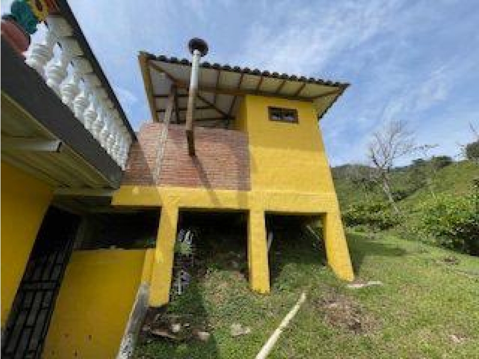 SE VENDE FINCA EN LA VEREDA LA RÁPIDA, SAN RAFAEL, ANTIOQUIA. - 6