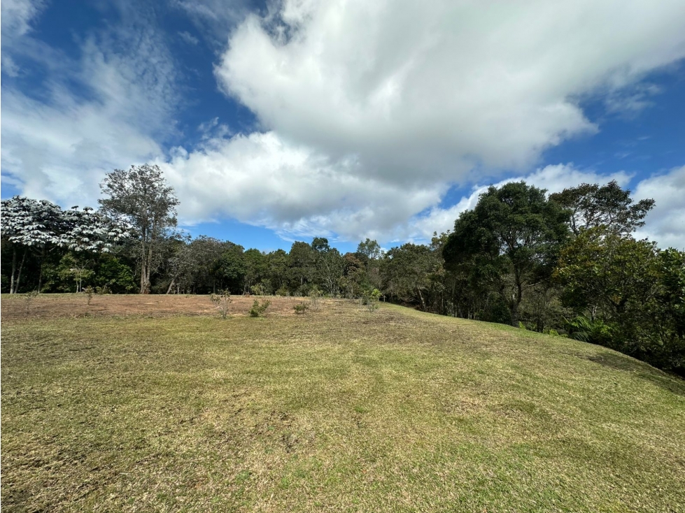 SE VENDE LOTE CAMPESTRE EN UNIDAD CERRADA, LOMA DEL ESCOBERO,ENVIGADO. — foto 5