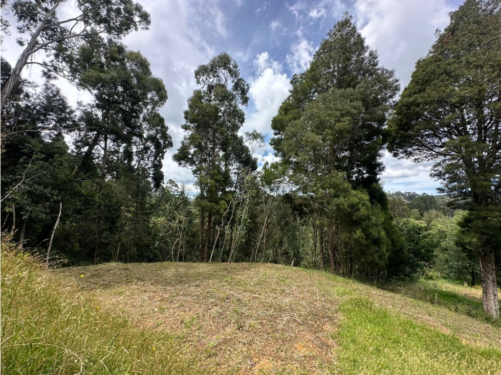 SE VENDE LOTE CAMPESTRE EN EL ALTO DE LAS PALMAS. — foto 5