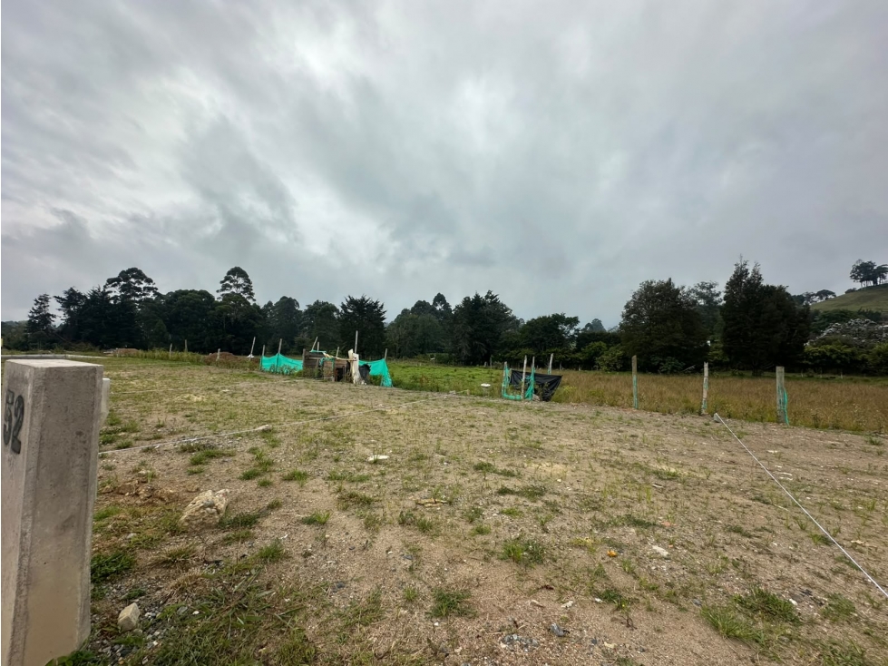 SE VENDE LOTE EN LA CEJA CON PRECIO DE OPORTUNIDAD — foto 2