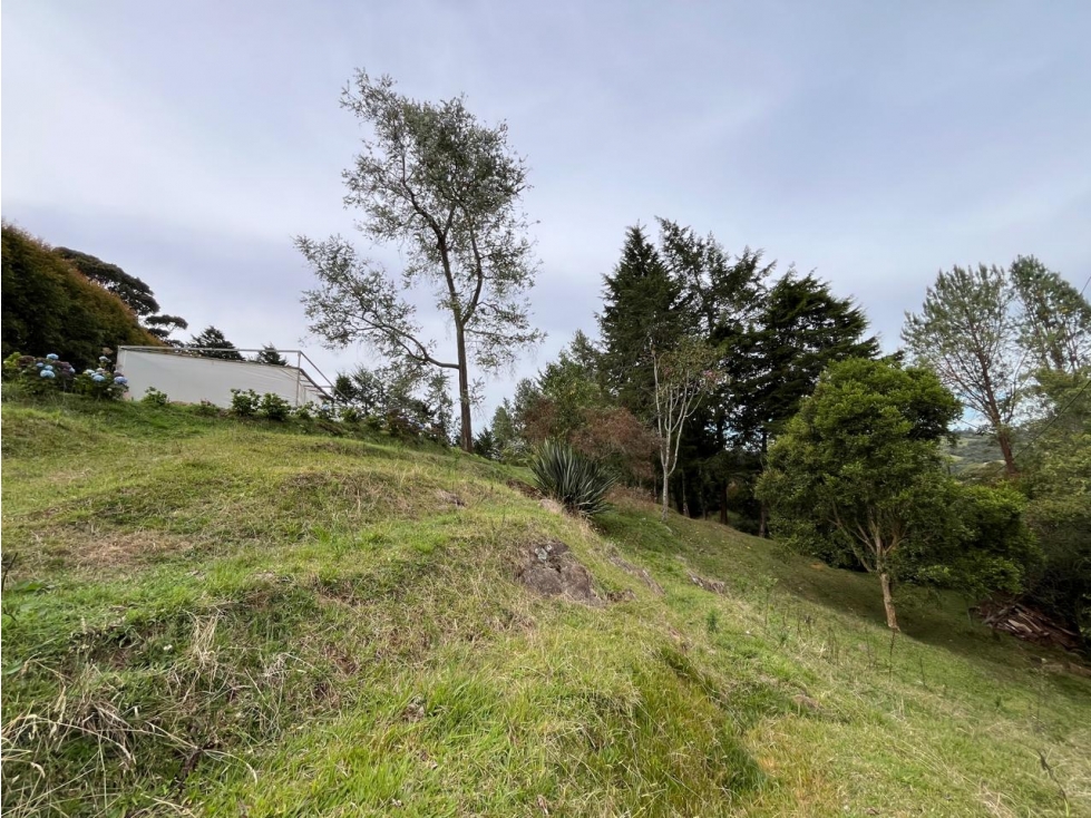SE VENDE LOTE EN EL ALTO DE LAS PALMAS,SECTOR CANTAGIRONE — foto 5