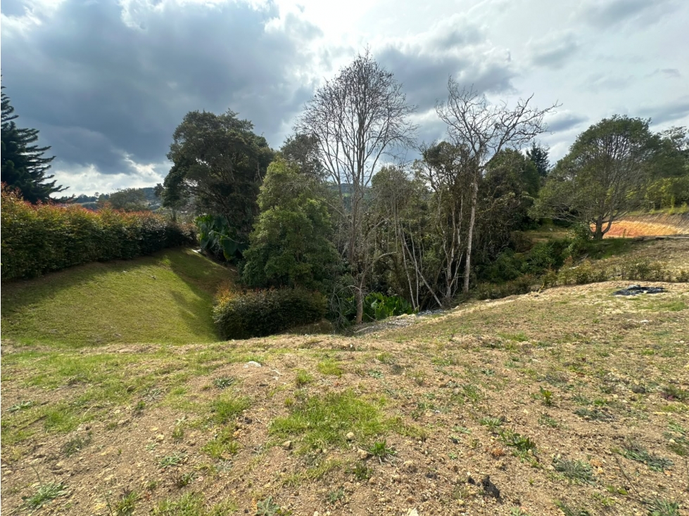 SE VENDE LOTE CAMPESTRE EN LA VARIANTE LAS PALMAS. — foto 6