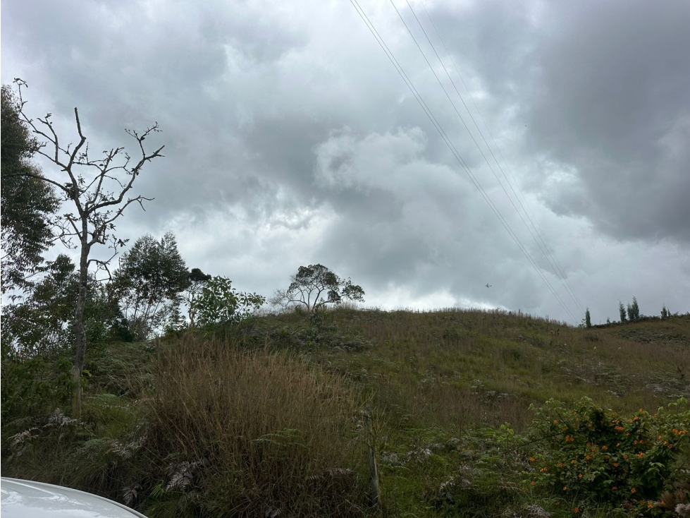 SE VENDE LOTE EN LA VEREDA HOJAS ANCHAS, GUARNE. — foto 6