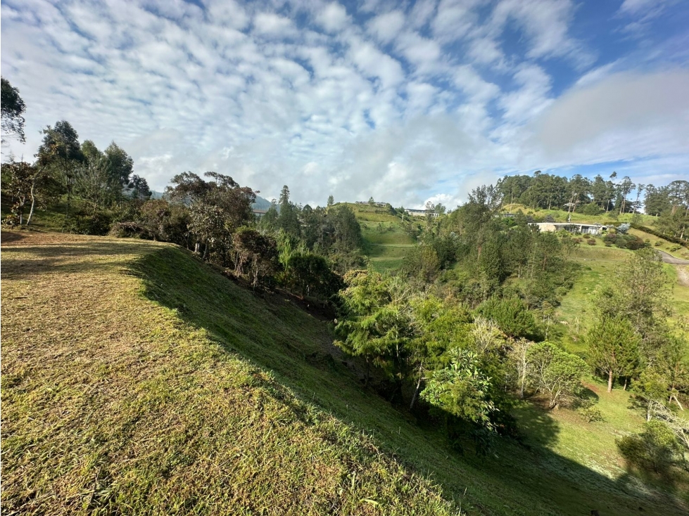 LOTE EN VENTA EN LA VEREDA EL PORTENTO, VÍA LA CEJA — foto 6