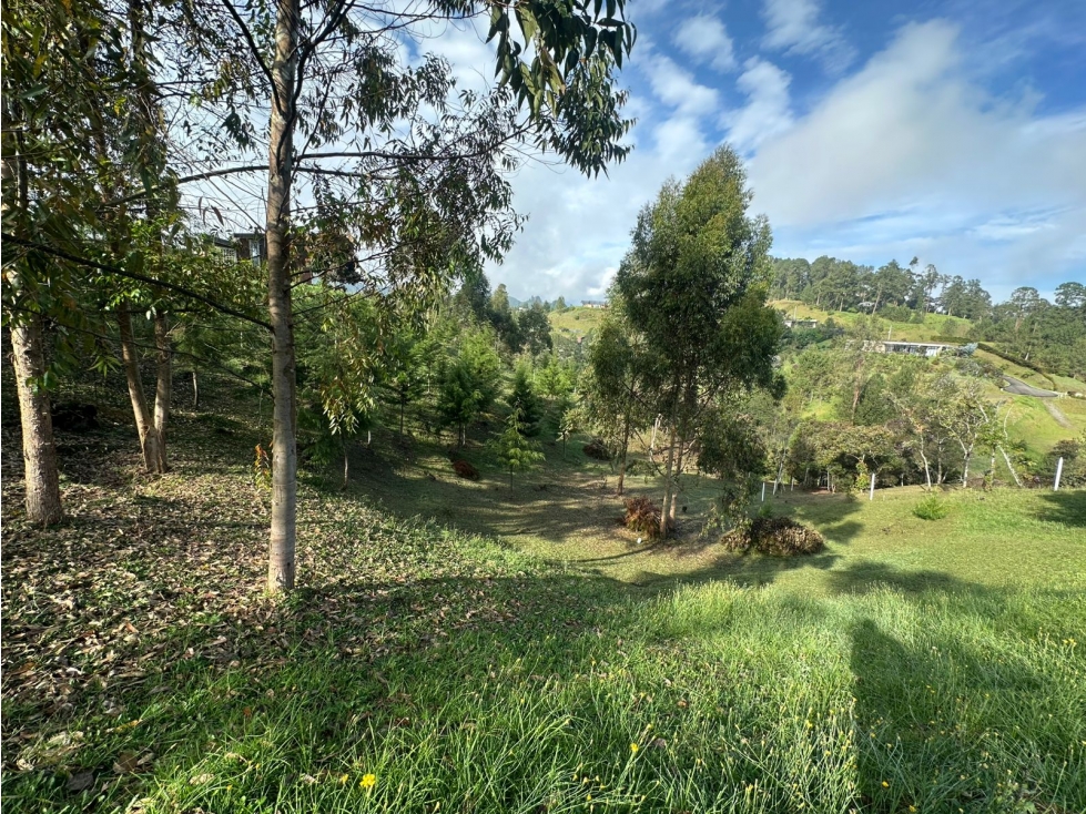LOTE EN VENTA EN LA VEREDA EL PORTENTO, VÍA LA CEJA — foto 6