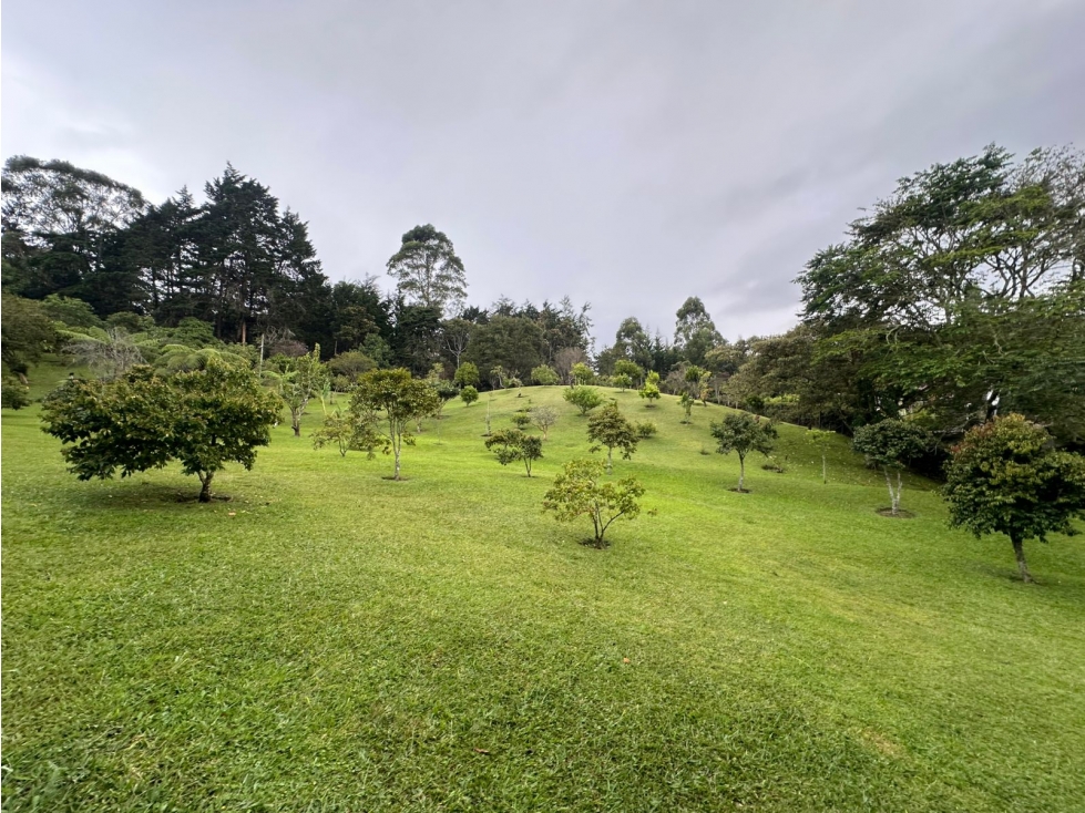 SE VENDE LOTE EN SAJONIA RIONEGRO, CERCA AL AEROPUETO JMC. — foto 6
