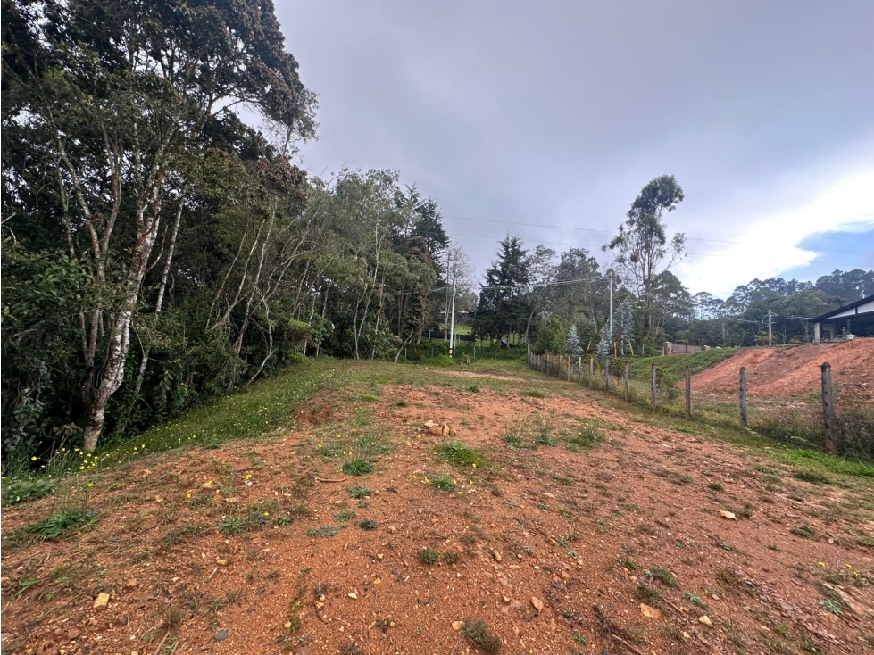 SE VENDE LOTE DE USO MIXTO EN LA VEREDA PANTANILLO, ENVIGADO. — foto 6