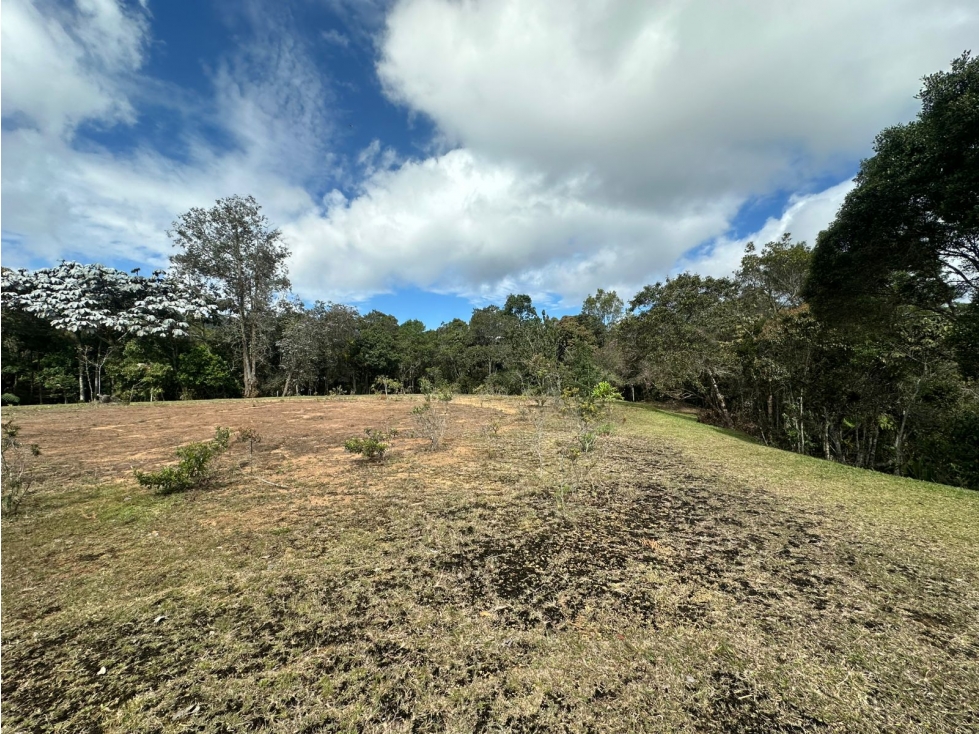 SE VENDE LOTE CAMPESTRE EN UNIDAD CERRADA, LOMA DEL ESCOBERO,ENVIGADO. — foto 6