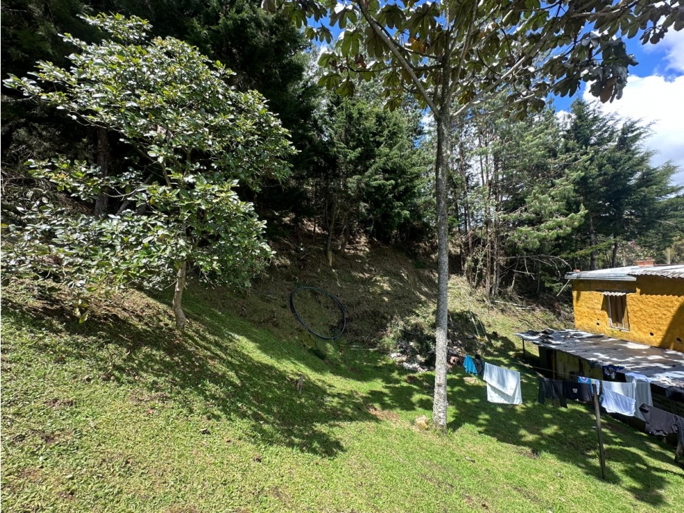SE VENDE CASA FINCA EN CARRIZALES, EL RETIRO. — foto 6