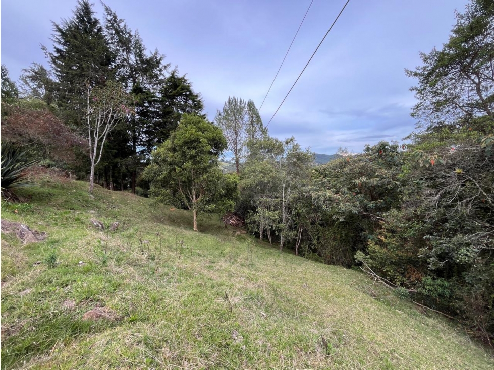 SE VENDE LOTE EN EL ALTO DE LAS PALMAS,SECTOR CANTAGIRONE — foto 6