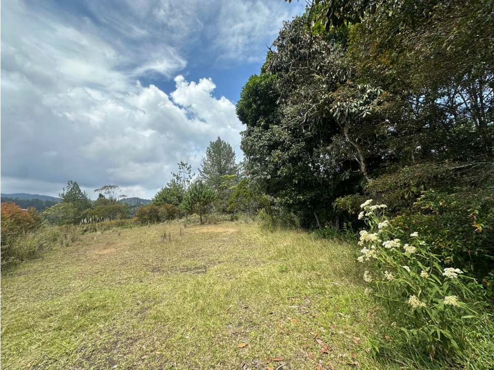 SE VENDE LOTE EN EL RETIRO, VEREDA LOS SALADOS. — foto 2