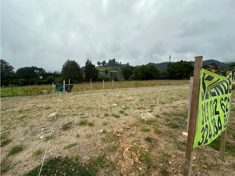 SE VENDE LOTE EN LA CEJA CON PRECIO DE OPORTUNIDAD — foto 6