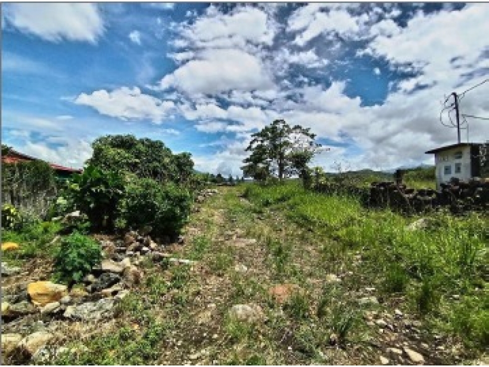 Alto Boquete - Venta de Terreno Plano — foto 4