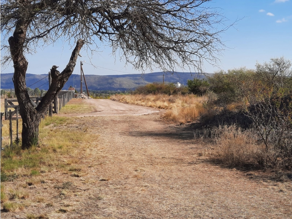 Campo de 48 Ha en "Nono" - Cercanías del Río Chico - 3