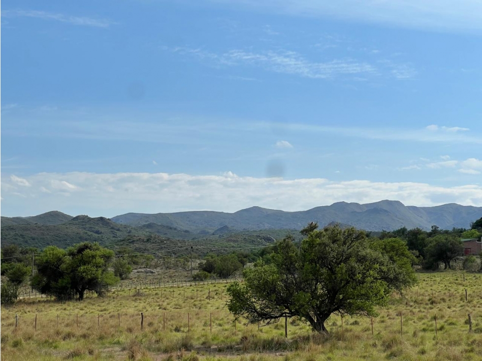 Lotes en "La Albertina" en Panaholma - Traslasierra - Córdoba - 3