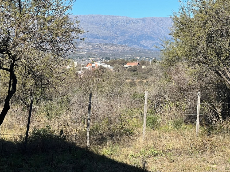 Cabañas + Departamento en cercanías del Río Panaholma - 4