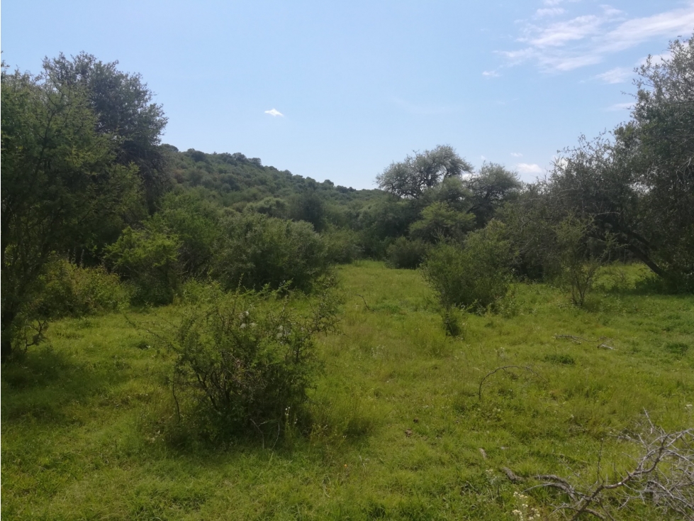 Terreno "Las Maravillas Oeste" - 5