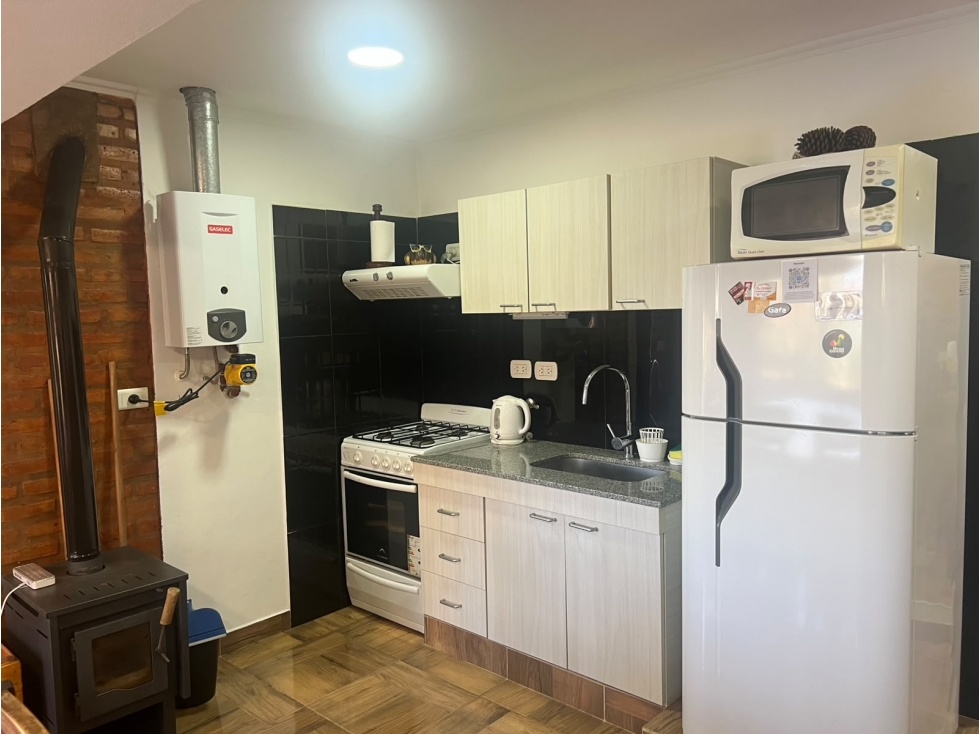 Cabañas + Departamento en cercanías del Río Panaholma - 6