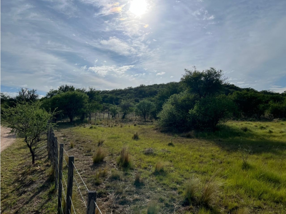 Lotes en "La Albertina" en Panaholma - Traslasierra - Córdoba - 6