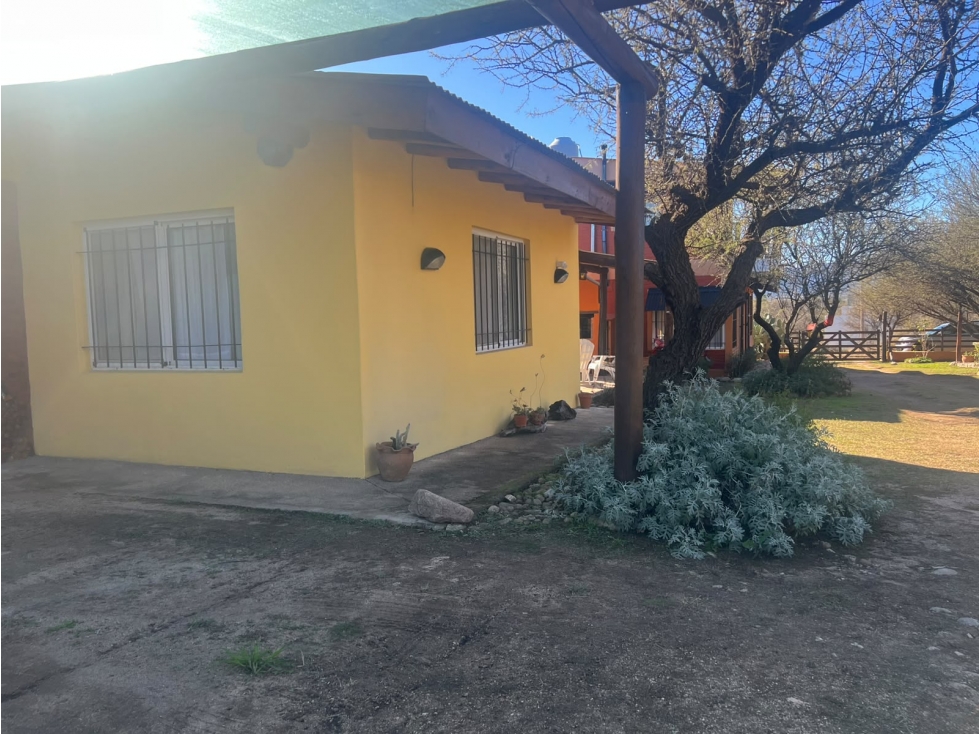 Cabañas + Departamento en cercanías del Río Panaholma - 3