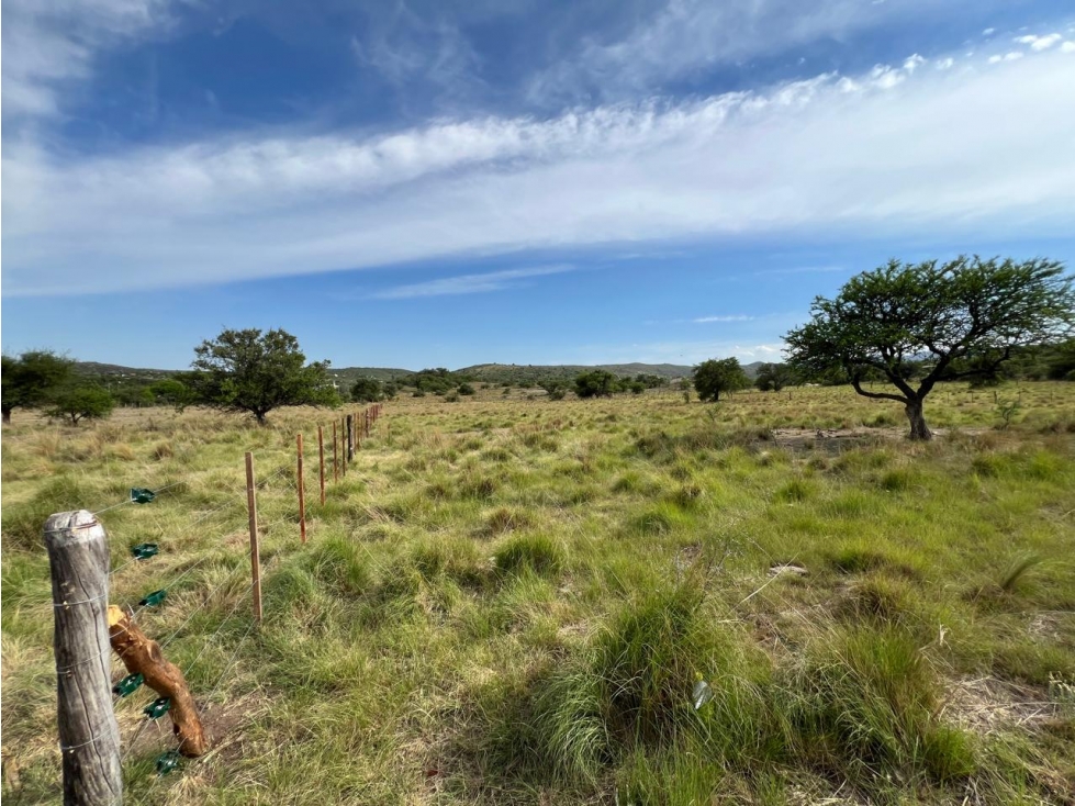 Lotes en "La Albertina" en Panaholma - Traslasierra - Córdoba - 4