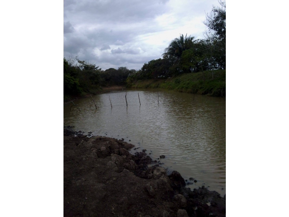 RANCHO EN VENTA JOSE AZUETA VERACRUZ - 2