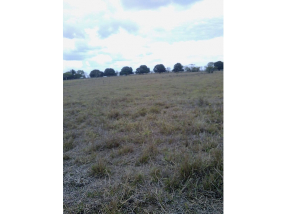 RANCHO EN VENTA JOSE AZUETA VERACRUZ - 3