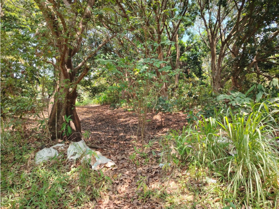 TERRENO EN EXCLUSIVA SUPER PRECIO TRES VALLES - 3