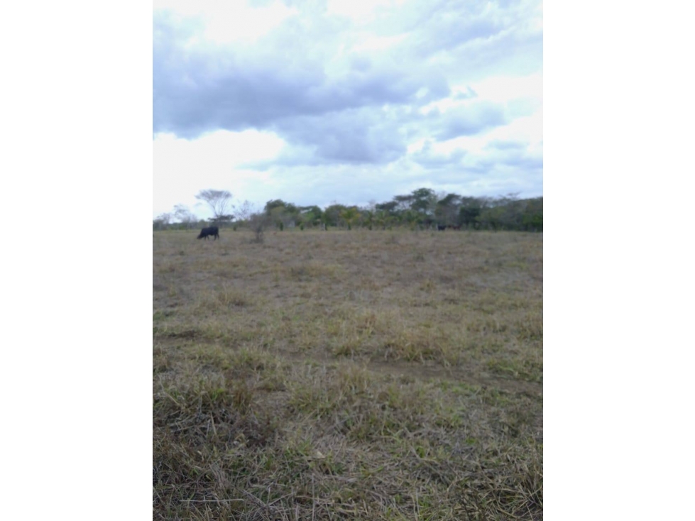 RANCHO EN VENTA JOSE AZUETA VERACRUZ - 4
