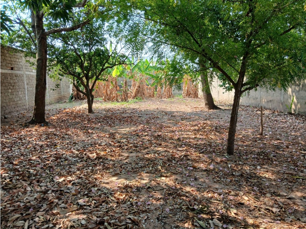 CASA AVENIDA PUEBLA LOMA BONITA OAXACA — foto 6