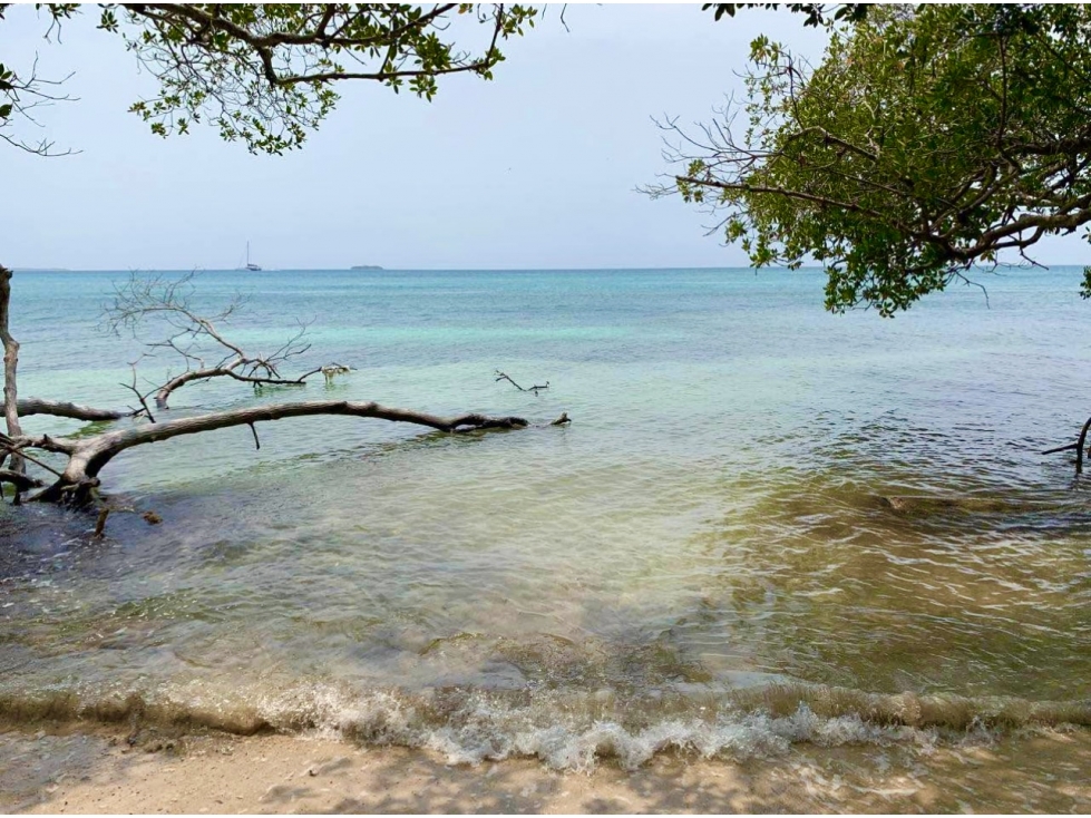 Lote en venta con 14 hectáreas en isla de Barú