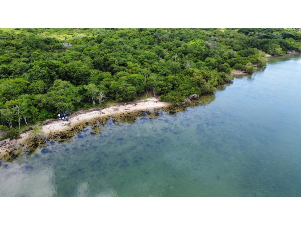 Terreno en venta isla de Barú sector Barbacoa