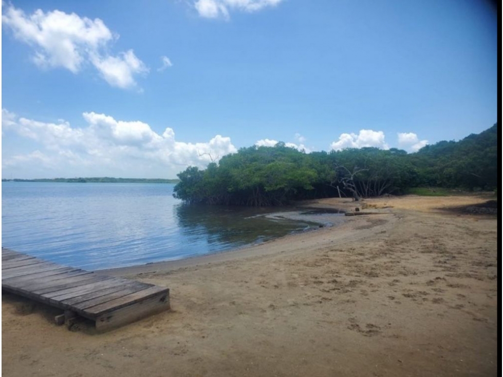 Lote de 13 hectáreas en venta en Cholón isla de Baru — foto 3