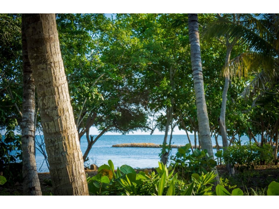 Casa de playa de venta en isla de Baru — foto 3