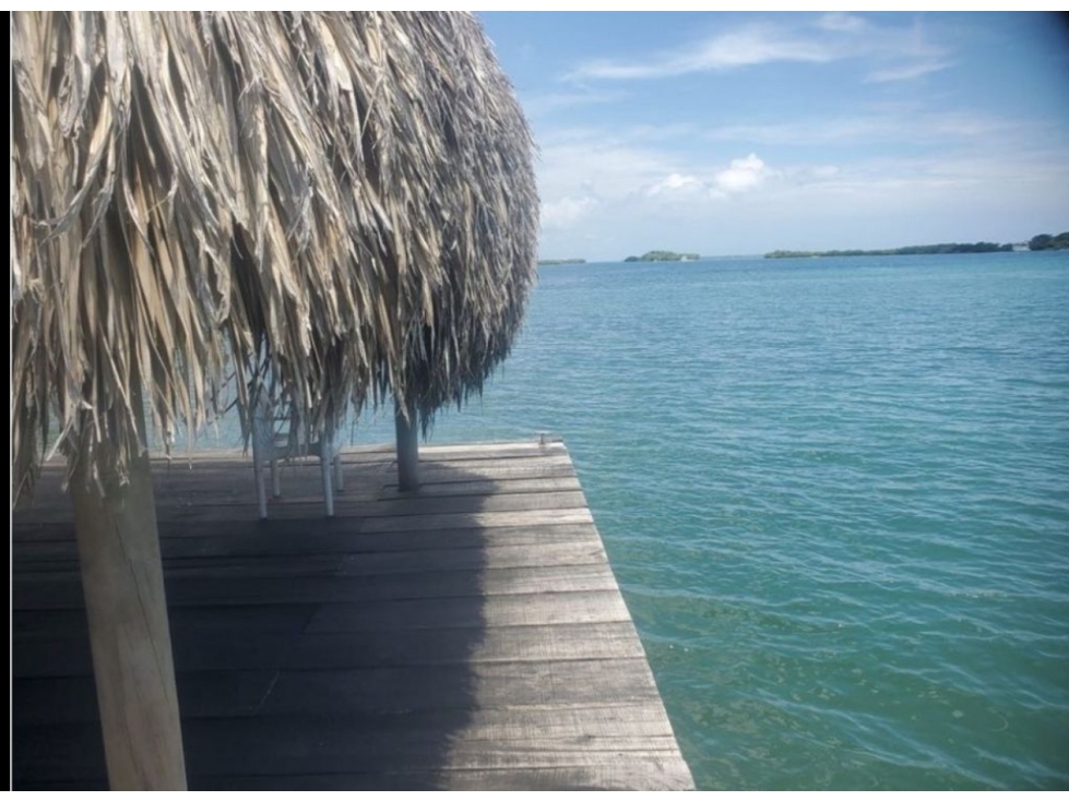 Lote de 13 hectáreas en venta en Cholón isla de Baru — foto 4