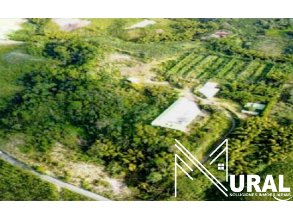 Finca La Pampa, Pereira - Risaralda
