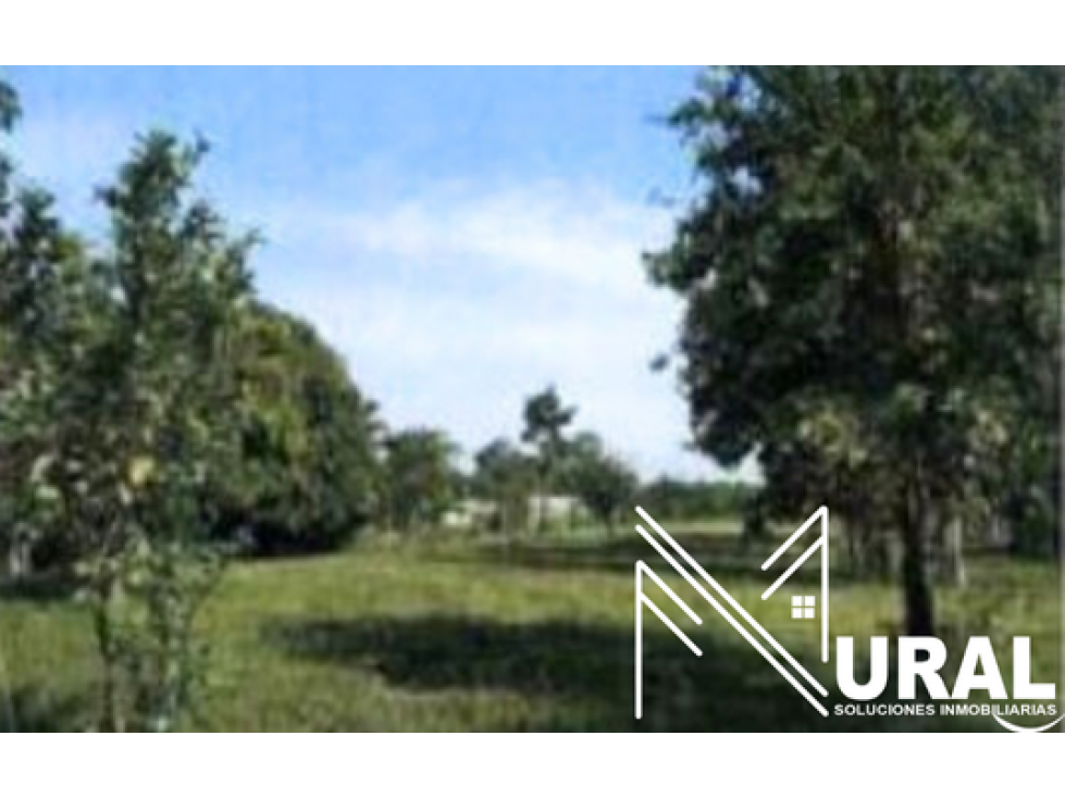 Lote - Terreno en Chuchurubí, Cereté - Cordoba - 2