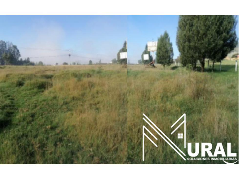 Lote - Terreno La Alberca, Vereda Carreño - Sotaquira - 2