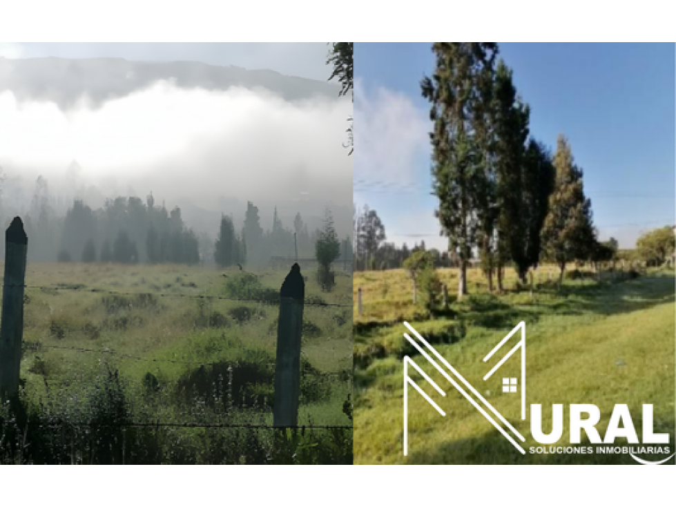 Lote - Terreno Las Acacias, Vereda Carreño - Sotaquira - 1