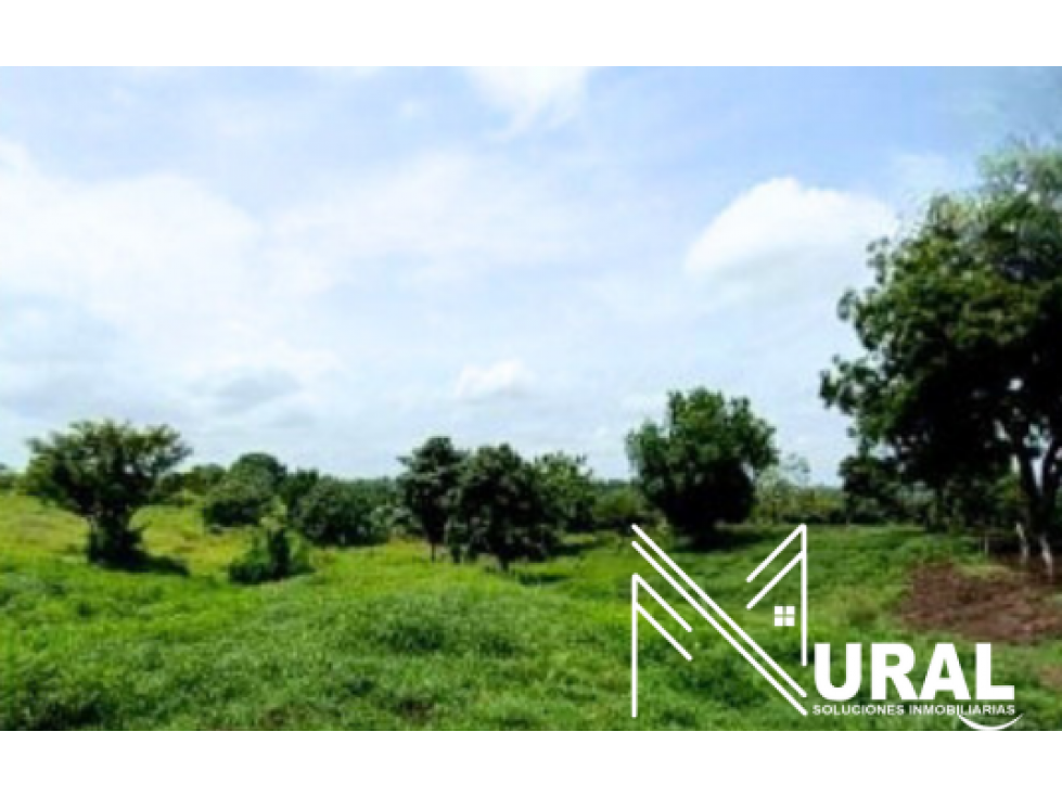 Lote - Terreno Nro. 4 en Sahagún, Córdoba - 2