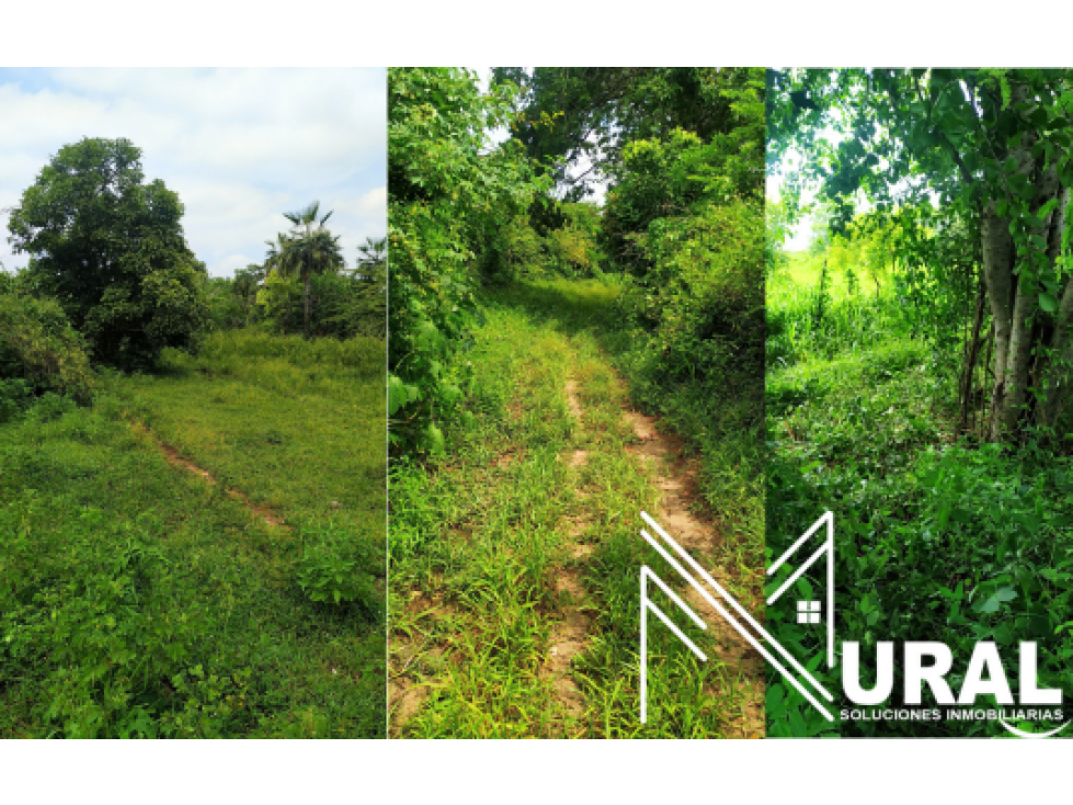 Lote - Terreno en Palmar de Varela, Vereda Majagual - Barranquilla — foto 2