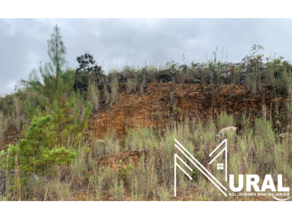 Lote Nro.11 Conjunto Res. Campestre La Cascada - El Retiro, Antioquia — foto 3