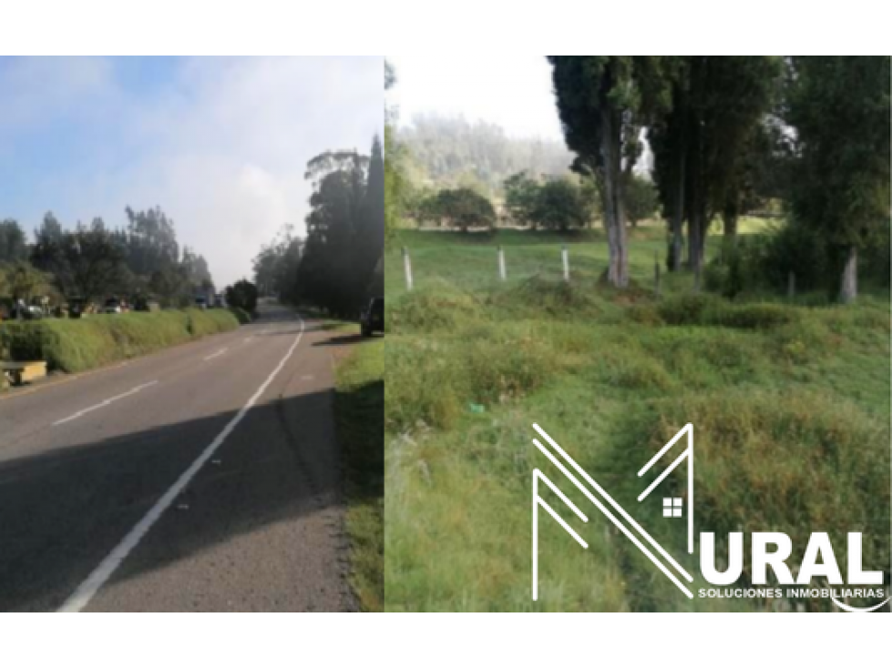Lote - Terreno La Alberca, Vereda Carreño - Sotaquira - 1