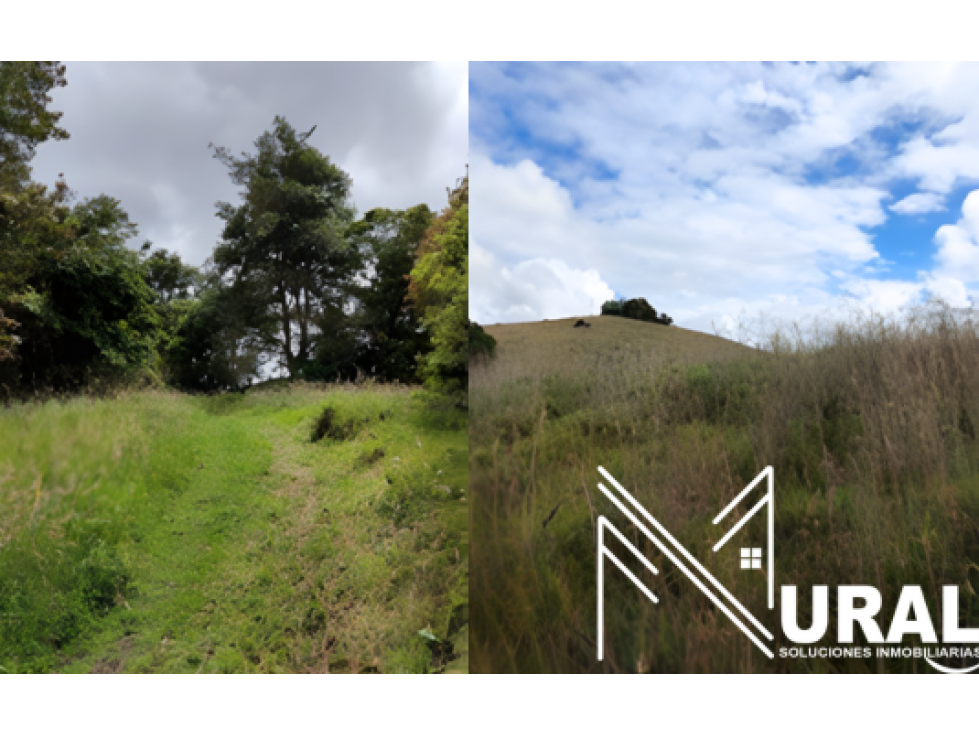 Lote - Terreno en Encenillos De Sindamanoy, Chía - Cundinamarca — foto 3